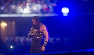 wwe2017摔跤狂热大赛 wwe2017摔跤狂热大赛